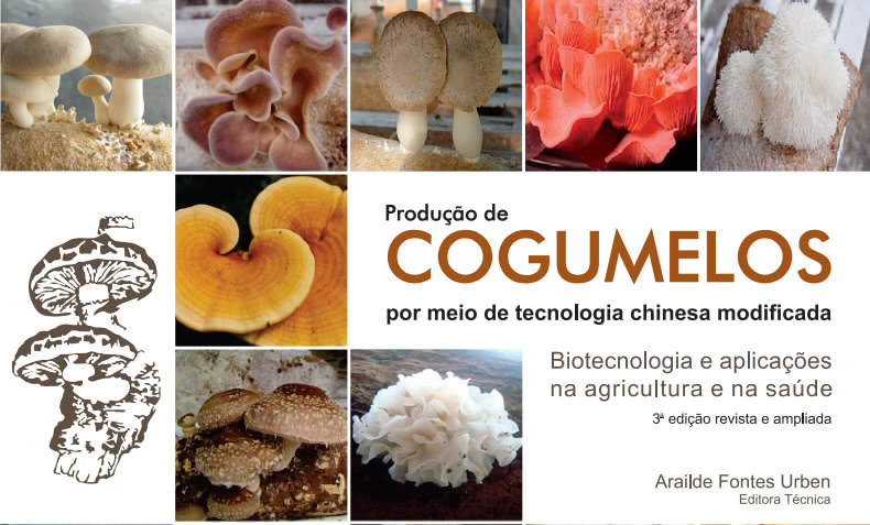 Entenda como é realizado o processo de cultivo de cogumelos comestíveis 